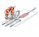 MS-Coupled Microfluidics